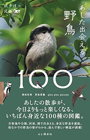 散歩道の図鑑 あした出会える野鳥100』｜感想・レビュー・試し読み